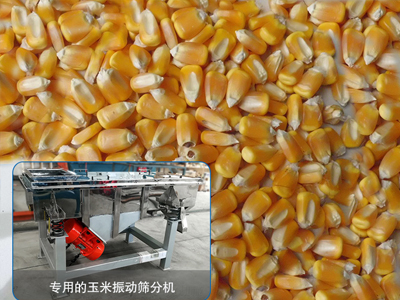 玉米直线振动筛