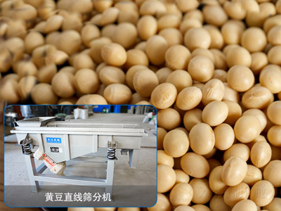 大豆直线筛分机